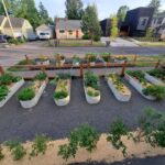 Grow Plants in Raised Bed Garden