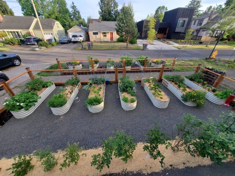 Grow Plants in Raised Bed Garden