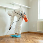 Pest Control Adelaide– How to Find as well as Regulate Termites in your house