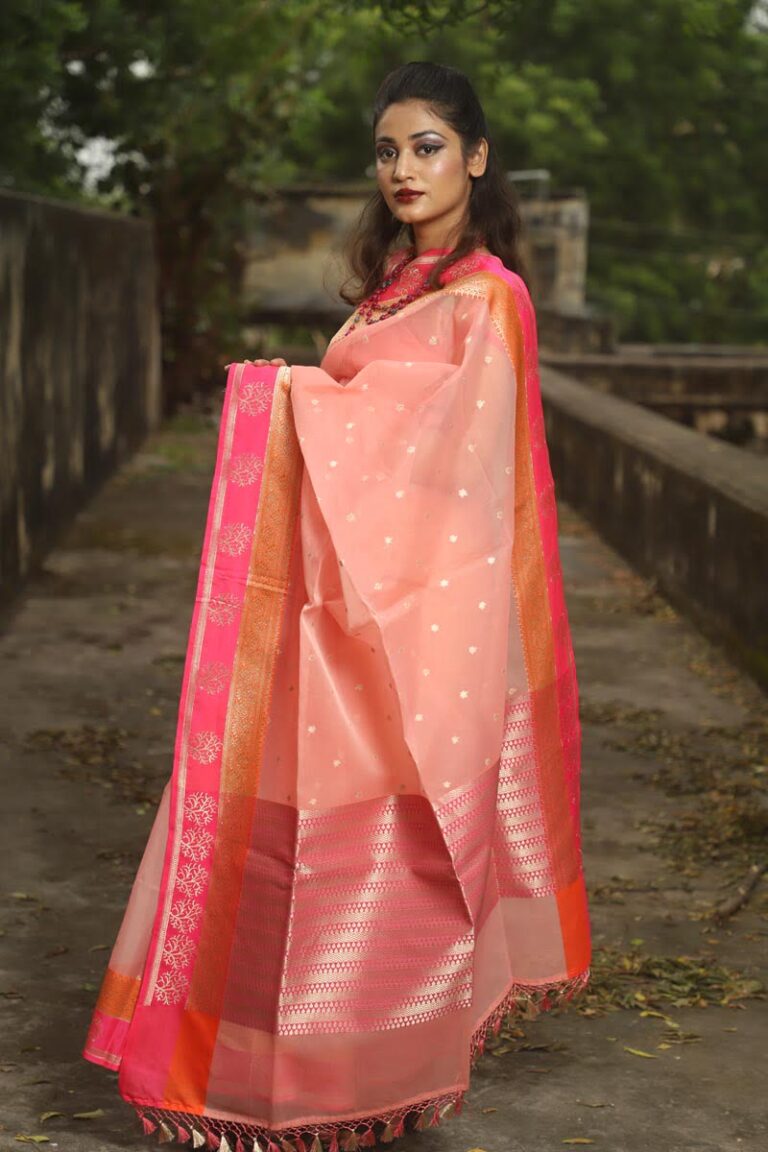 Shop for latest designer Organza banarasi sarees