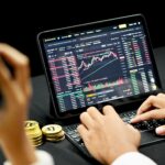 Are you looking for the perfect platform that provides the Zulutrade top traders?