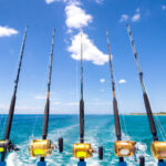Why Choose Your Own Fishing Rod Versus Serial Fishing Rod?