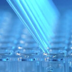 A Lot Of Commonly Seen Freshwater Fish Problems