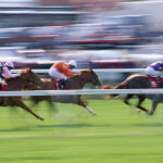 Basic Hints to Further develop Your Horse Racing Results