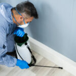 Pest Control – Ensuring A Healthy Environment