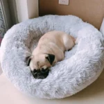 The Benefits of Cat Cavern Beds for Your Pet dogs