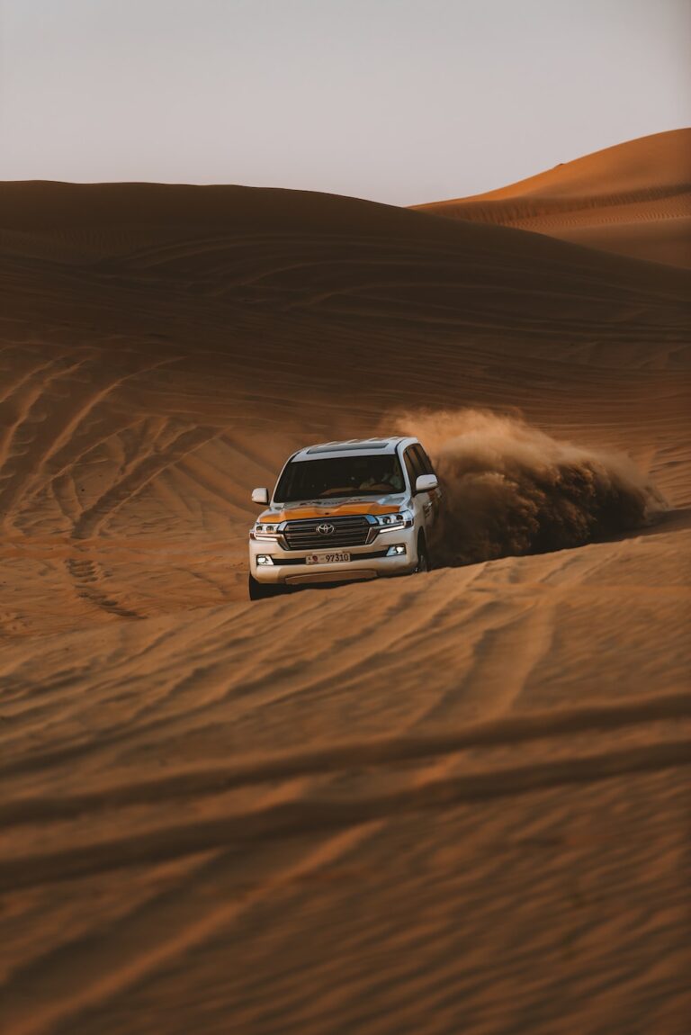What activities can we perform at Desert Safari in Dubai?